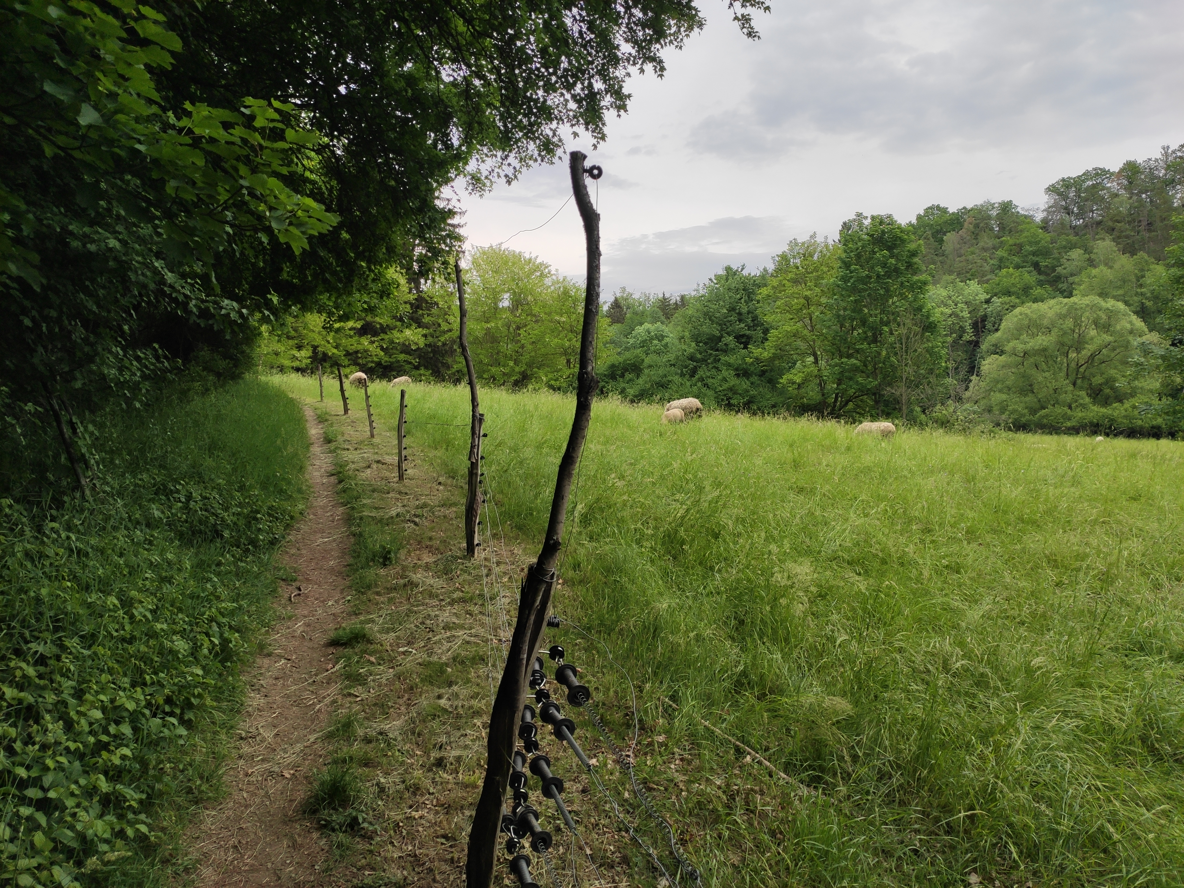 Přes Kozí Hory do Zadnice (34 km)