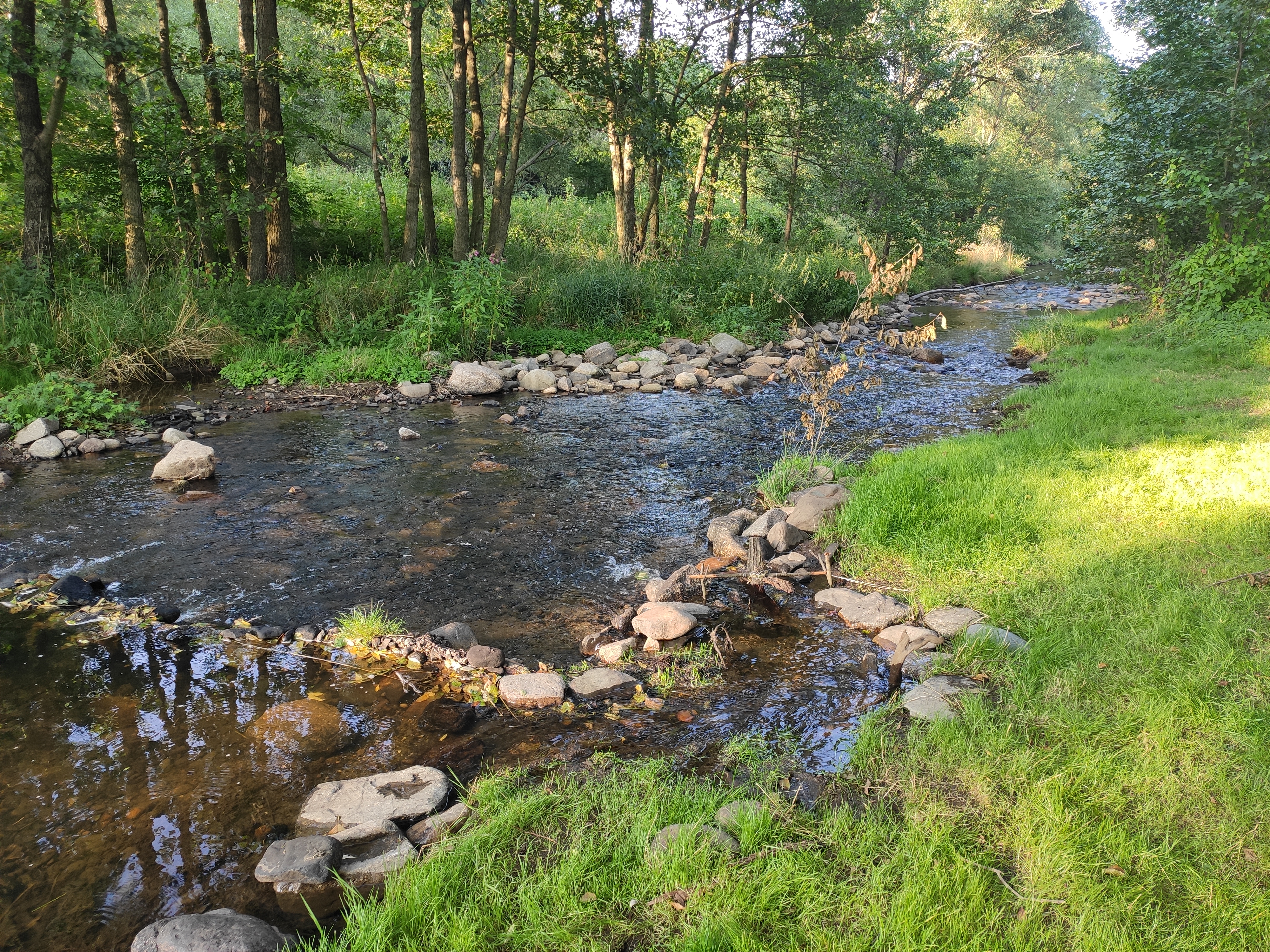 Brdonoš Podlesí (62 km)
